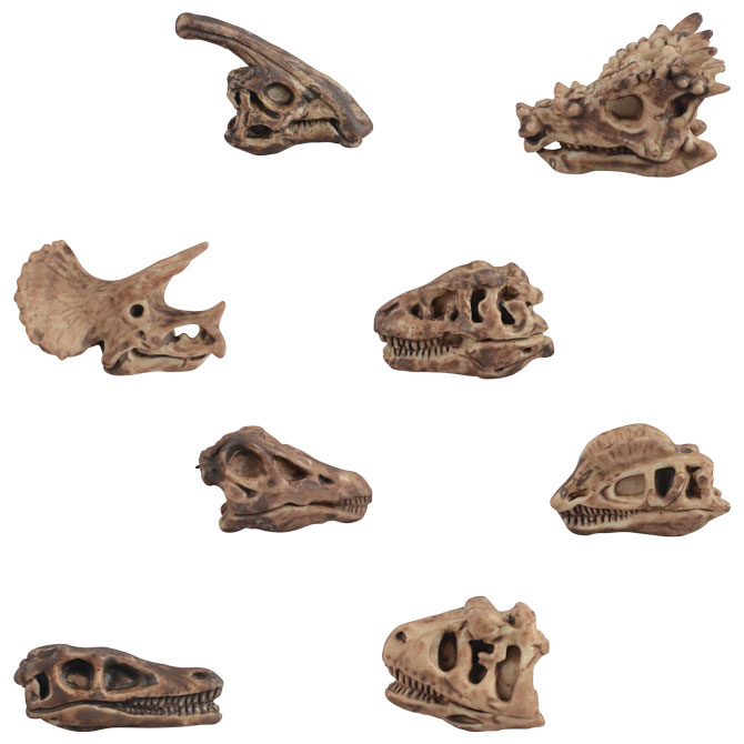 Buy Dinosaur Skulls Vending Capsules - Vending Machine Supplies For Sale